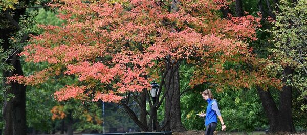 民调：近半数美国女性声称曾遭遇性暴力 - 俄罗斯卫星通讯社