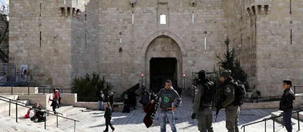 美国关于耶路撒冷地位的决定使巴以和平进程陷入僵局 - 俄罗斯卫星通讯社