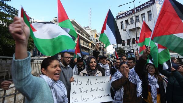 巴勒斯坦衛生部稱約1100人在8日的抗議中受傷 - 俄羅斯衛星通訊社