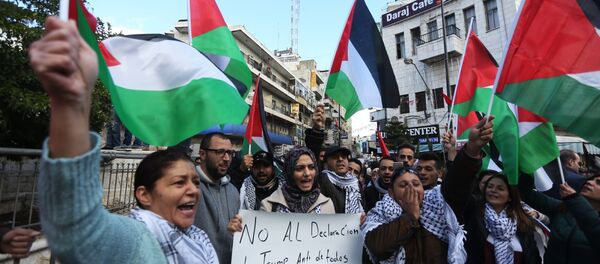 巴勒斯坦 巴勒斯坦 - 俄羅斯衛星通訊社