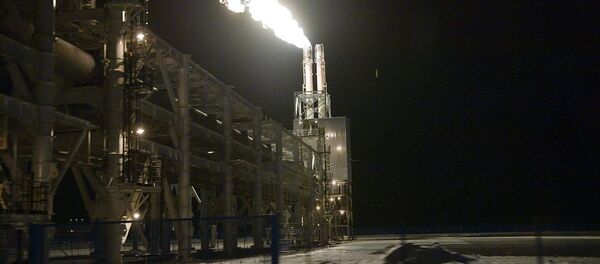 普京：俄罗斯和沙特阿拉伯在能源领域的合作使两国成为伙伴 - 俄罗斯卫星通讯社