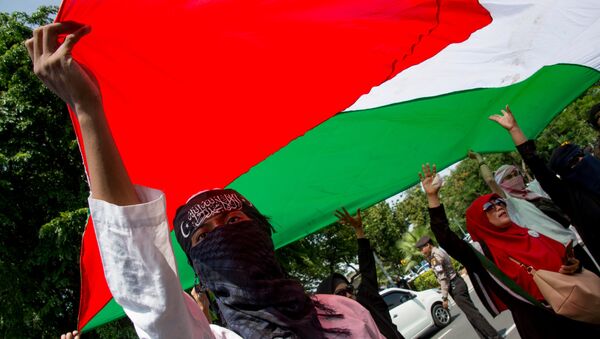 印尼抗議者持巴勒斯坦國旗 - 俄羅斯衛星通訊社