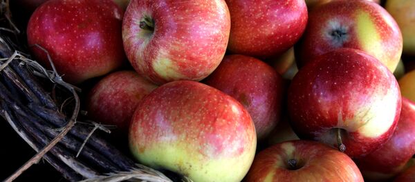 营养师称晚上不要吃苹果 - 俄罗斯卫星通讯社