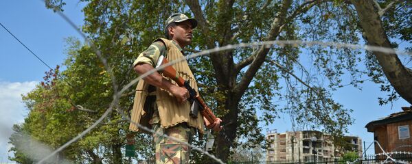 印度警方逮捕11名殴打护妹少年的游客 - 俄罗斯卫星通讯社