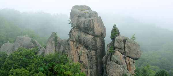 俄滨海边疆区龙园 - 俄罗斯卫星通讯社