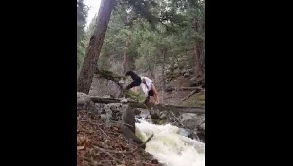 美国女子独木桥上做瑜伽高难体式落水 （视频） - 俄罗斯卫星通讯社