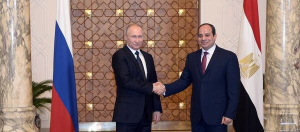普京与埃及总统就军技合作问题进行详细讨论 普京与埃及总统就军技合作问题进行详细讨论 - 俄罗斯卫星通讯社