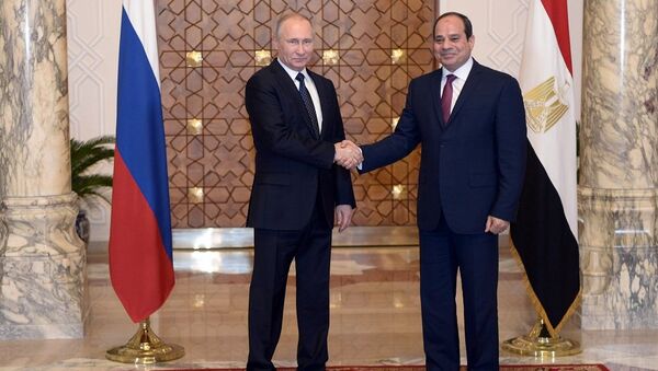 俄埃总统在两国交换反恐情报的问题上达成共识 - 俄罗斯卫星通讯社