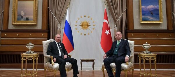 путин эрдоган - 俄罗斯卫星通讯社