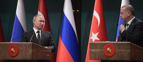 普京与埃尔多安 - 俄罗斯卫星通讯社