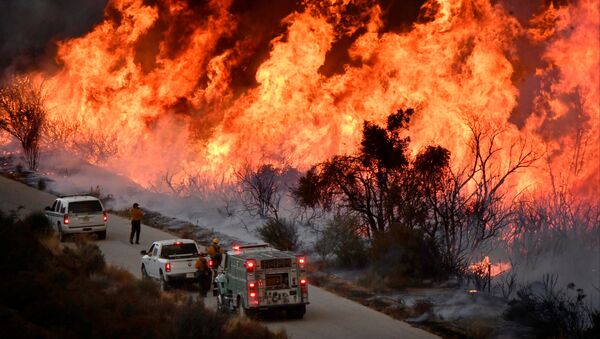 特朗普：加州火災造成災難性破壞 - 俄羅斯衛星通訊社