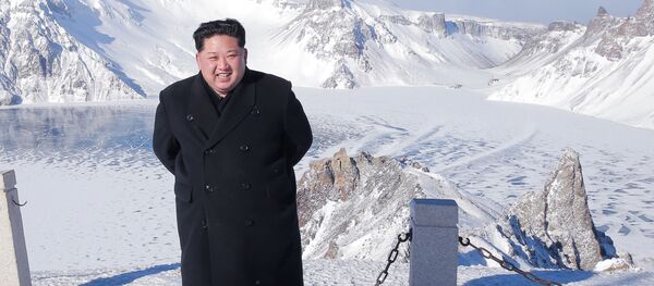 普京：朝鲜领导人金正恩“赢了当前这局棋” - 俄罗斯卫星通讯社