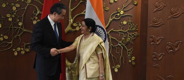 中印在努力克服“信任赤字” 中印在努力克服“信任赤字” - 俄罗斯卫星通讯社