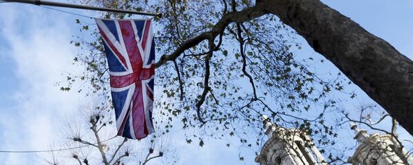 英國首相預計將在1月21日前進行英國脫歐條件協議文本的投票 - 俄羅斯衛星通訊社