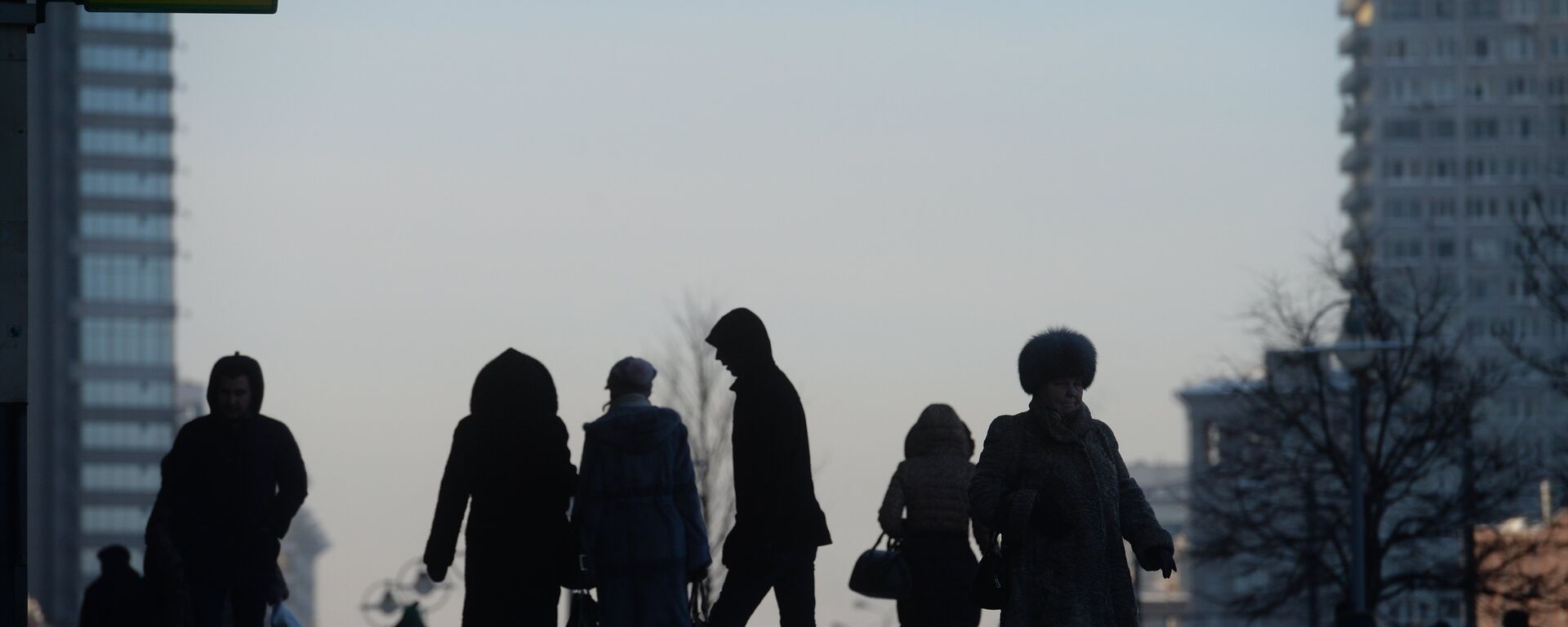 俄副总理：新的一年对俄经济来说将比今年容易得多 - 俄罗斯卫星通讯社, 1920, 27.12.2022