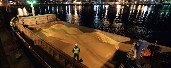 俄农业部长：对华粮食出口量增长5倍 - 俄罗斯卫星通讯社