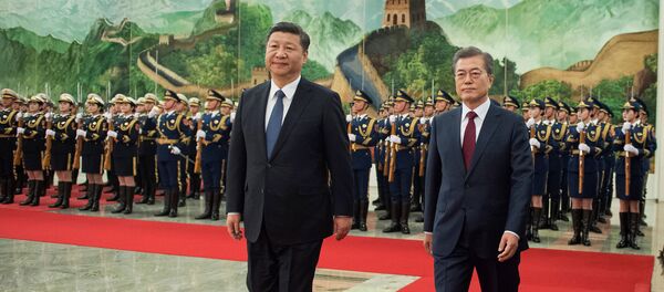 习近平与文在寅 - 俄罗斯卫星通讯社