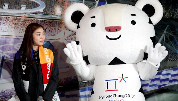 韓國平昌期待俄羅斯的奧運健兒 - 俄羅斯衛星通訊社