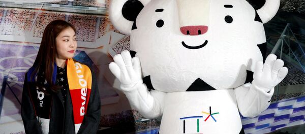 韓國平昌期待俄羅斯的奧運健兒 - 俄羅斯衛星通訊社