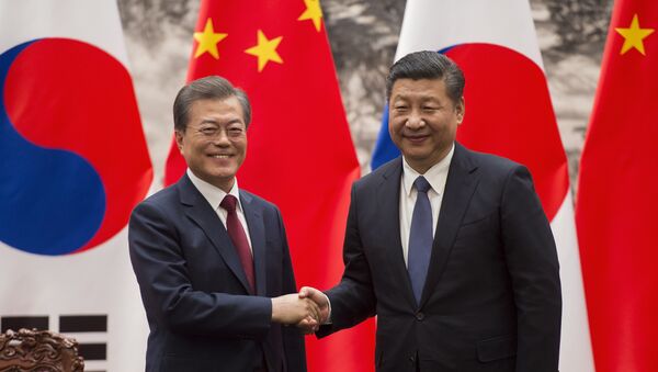 中国与韩国开始重启两国关系 - 俄罗斯卫星通讯社