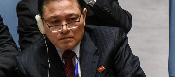 朝鮮常駐聯合國代表慈成男 - 俄羅斯衛星通訊社