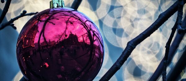 俄遠東居民將大量前往亞洲過新年 - 俄羅斯衛星通訊社