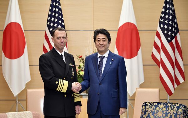 美国能够加强在亚洲的海军存在应对中国在南海的活动 美国能够加强在亚洲的海军存在应对中国在南海的活动 - 俄罗斯卫星通讯社