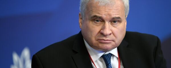 俄羅斯駐華大使安德烈·傑尼索夫 - 俄羅斯衛星通訊社