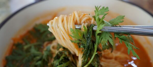 媒體：中式快餐店即將在俄遍地開花 - 俄羅斯衛星通訊社