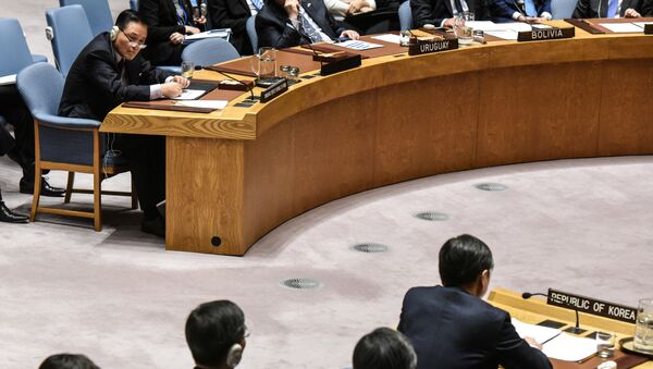 朝鲜指责联合国采用双重标准 - 俄罗斯卫星通讯社