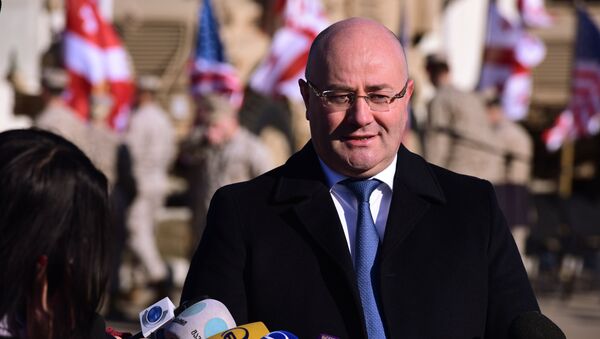 格鲁吉亚国防部长表示该国已经部署北约国家防空系统 - 俄罗斯卫星通讯社