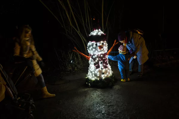 柏林植物園的LED發光雪人 柏林植物園的LED發光雪人 - 俄羅斯衛星通訊社