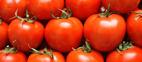 Нормализация российско-турецких отношений. Отмена запрета на импорт турецких томатов - 俄罗斯卫星通讯社