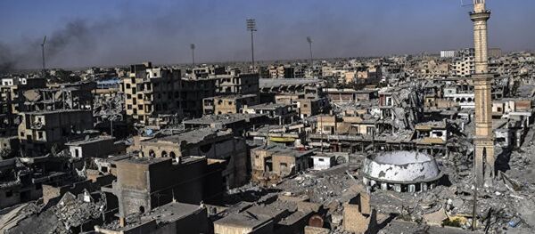 叙利亚 - 俄罗斯卫星通讯社