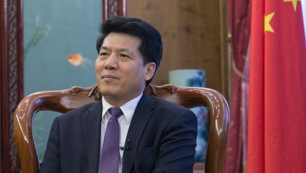 中国驻俄大使：中俄明年将在国际舞台上加强协调 - 俄罗斯卫星通讯社