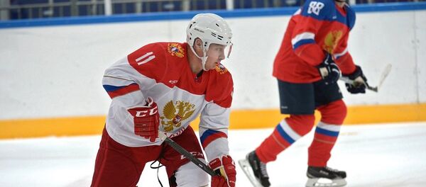 普京 - 俄罗斯卫星通讯社