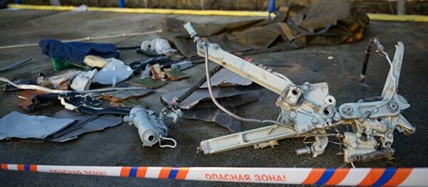 調查結果可排除圖-154失事飛機上發生爆炸的可能 - 俄羅斯衛星通訊社