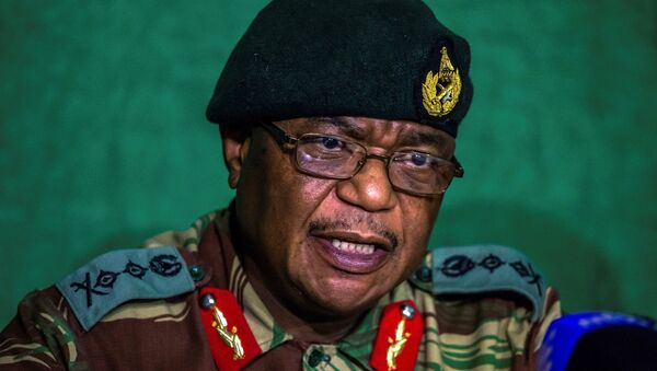 津巴布韦此前组织推翻穆加贝行动的将军被任命为副总统 - 俄罗斯卫星通讯社