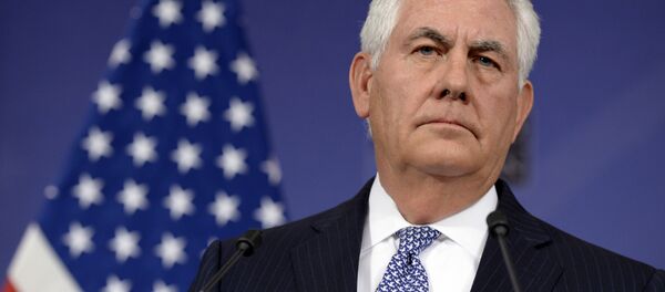 美国务卿访埃期间暂未安排与俄外长会晤 - 俄罗斯卫星通讯社