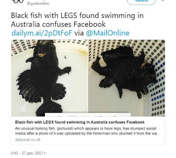 三條“腿”的魚 - 俄羅斯衛星通訊社