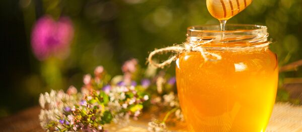 蜜蜂 - 俄罗斯卫星通讯社