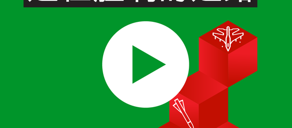 叙利亚：通往胜利的道路 - 俄罗斯卫星通讯社