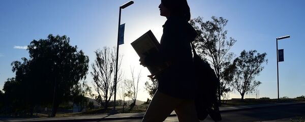 中国外交部：中美签证便利化是对等互惠的事情 - 俄罗斯卫星通讯社