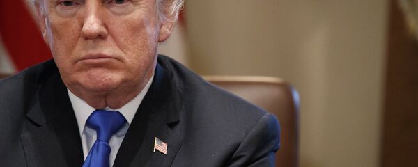 Дональд Трамп - 俄羅斯衛星通訊社