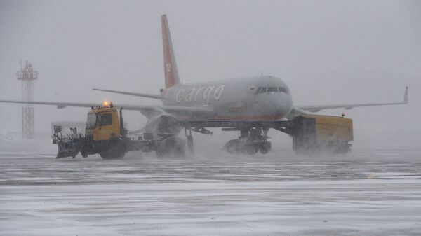 莫斯科遇大雪天气约30个航班延误 - 俄罗斯卫星通讯社