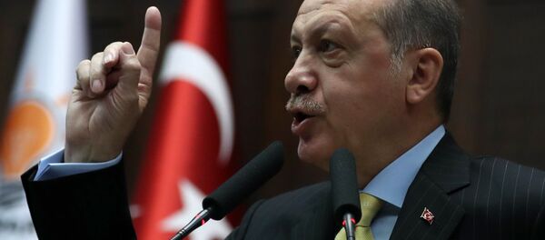 土耳其总统塔伊普·埃尔多安 - 俄罗斯卫星通讯社