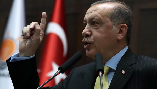 土耳其總統塔伊普·埃爾多安 - 俄羅斯衛星通訊社