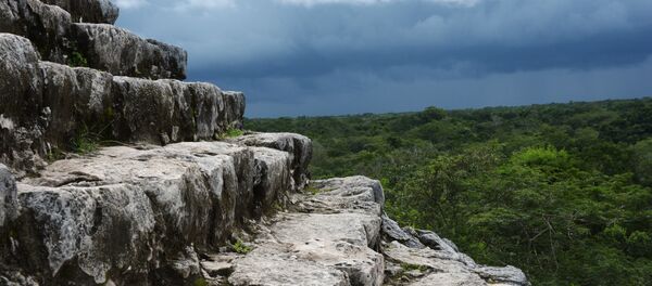 墨西哥 墨西哥 - 俄羅斯衛星通訊社