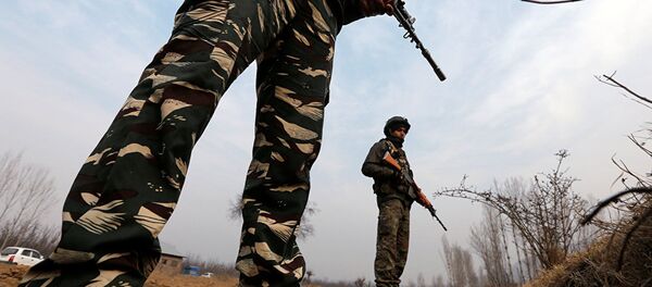 中国呼吁印巴联合抗击恐怖主义威胁 - 俄罗斯卫星通讯社