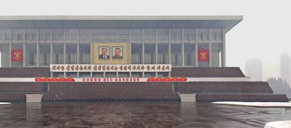 俄方认为将在温哥华就朝鲜问题举行的会谈有害无益 - 俄罗斯卫星通讯社